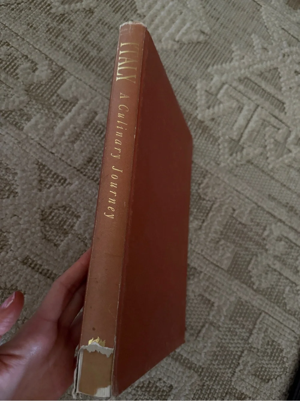 1991 Italy Italian vintage culinary cook book recipes hardcover no jacket